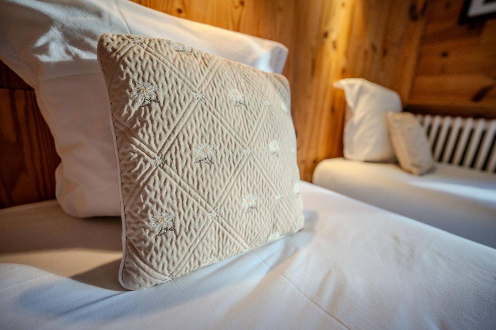 Hotel Du Centre Valloire Exteriér fotografie